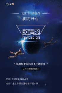 飞行家海报爆料大全最新,揭秘空中英雄的传奇历程  第1张